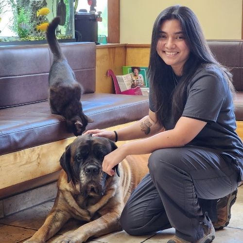 alyssa (1) Alyssa with a big dog laying down and a cat on the couch