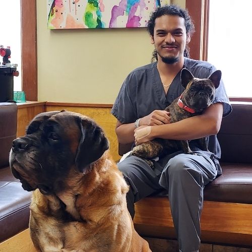 junior (1) Junior with a small dog on his lap and a big dog next to him