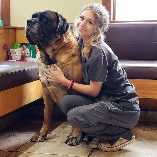 kaitlyn (1) Kaitlyn with a big dog